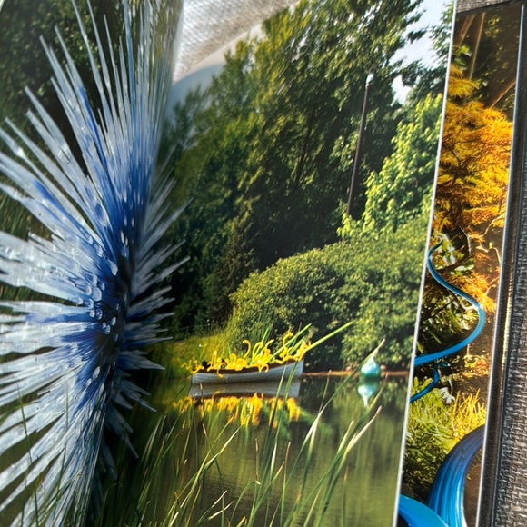 Chihuly Outside Art DVD - Picture 9 of 12